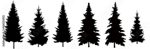 Fotografia Set of Christmas trees vector.
