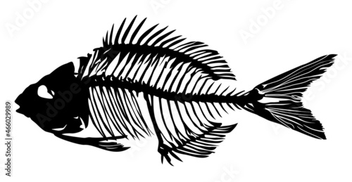 silhouette of a fish skeleton vector