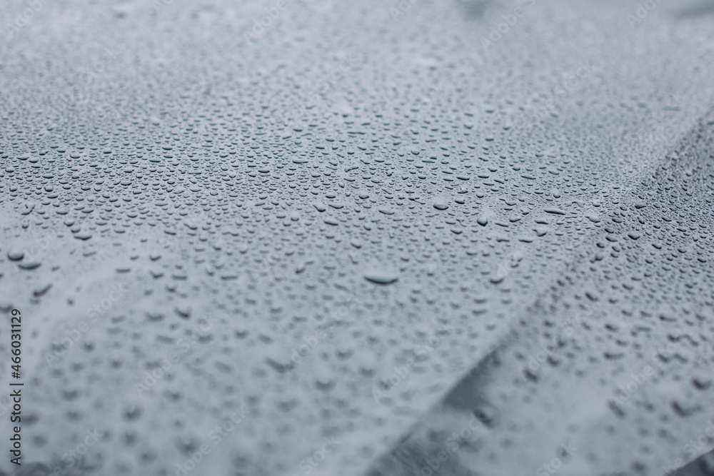 Wet surface of car after car wash Wet surface of car after car wash