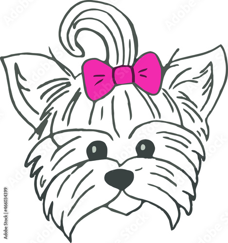 Sketch Funny dog Yorkshire terrier breed with pink bow. Hand drawing vector illustration.