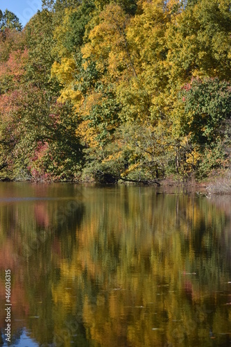 Autumn leaves reflecting on a lake