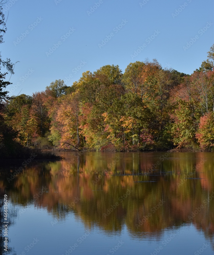Autumn leaves reflecting on a lake Autumn leaves reflecting on a lake