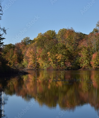 Autumn leaves reflecting on a lake