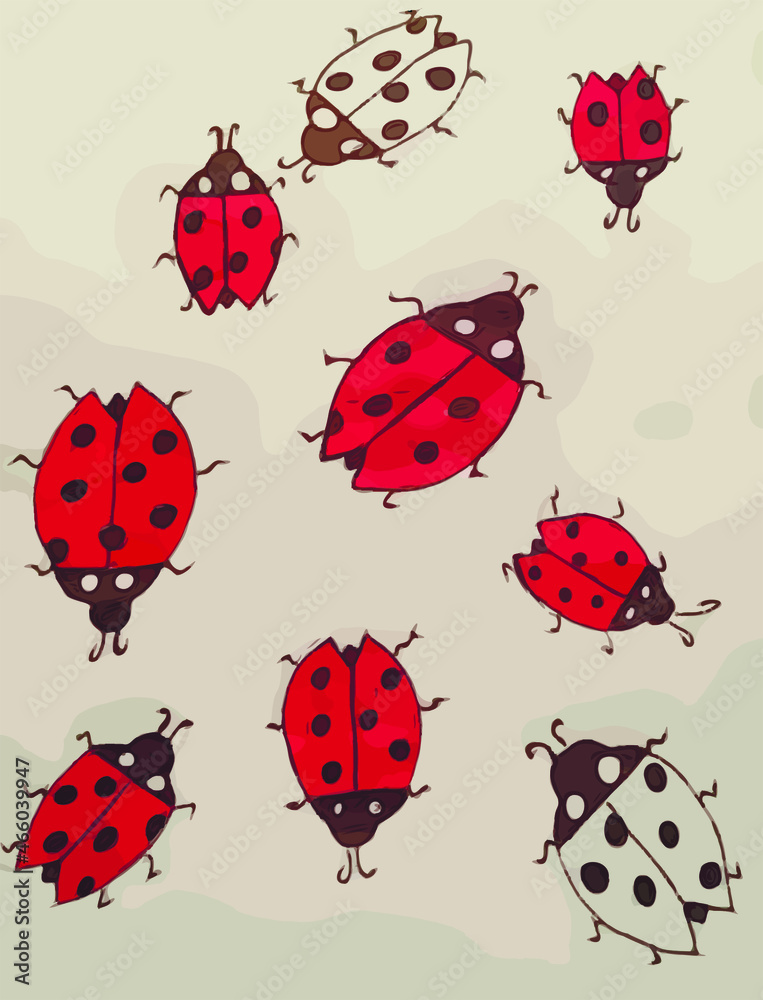 Fototapeta premium Set of ladybugs. Flat vector illustration.
