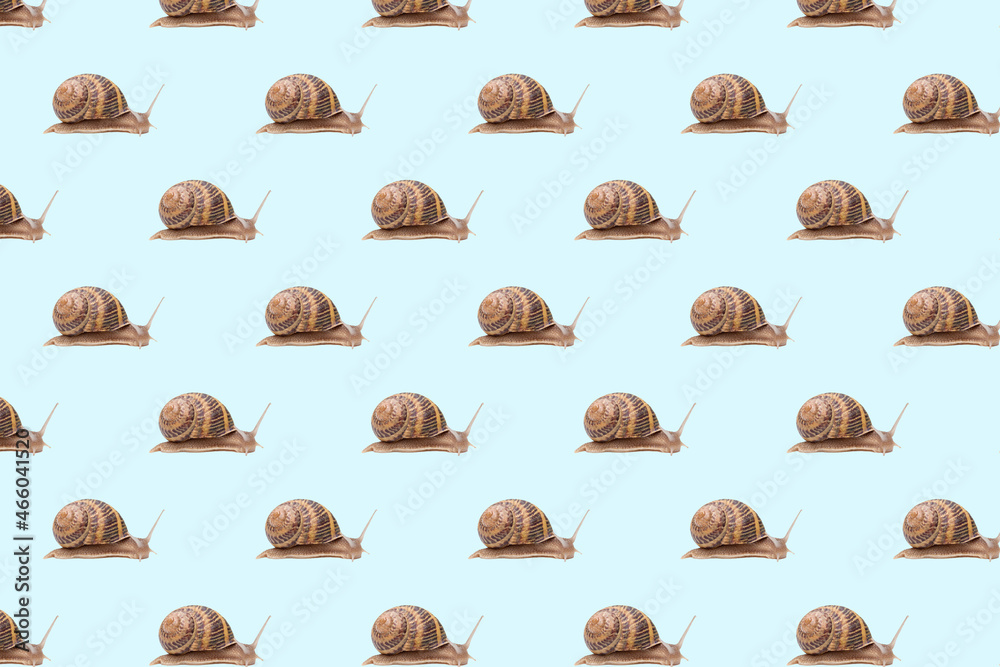 Seamless wallpaper pattern with garden brown snails. Seamless wallpaper pattern with garden brown snails.
