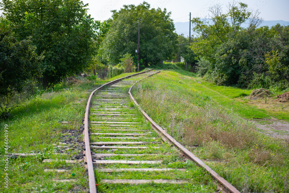 abandoned railway in the grass overgrown abandoned railway in the grass overgrown