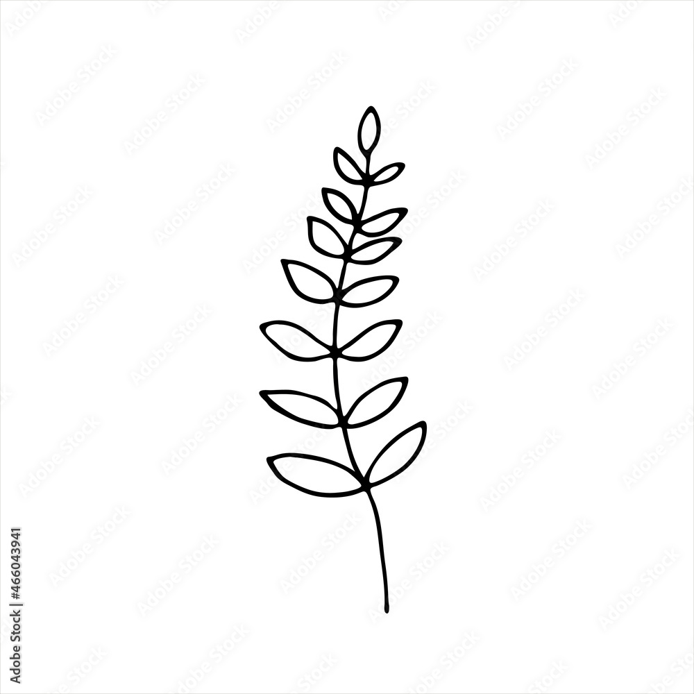 A painted leaf, a flower stalk. Doodle style, black outline, long leaf drawing, minimalism. Isolated. Vector illustration. A painted leaf, a flower stalk. Doodle style, black outline, long leaf drawing, minimalism. Isolated. Vector illustration.
