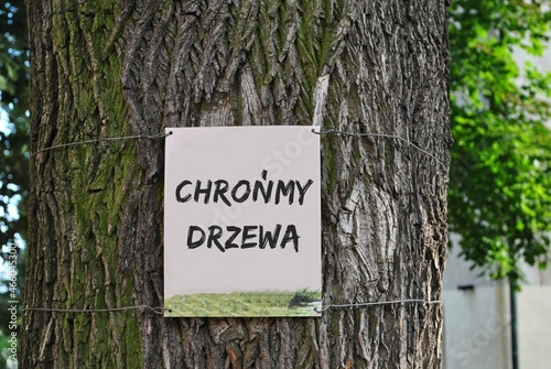 Chrońmy drzewa