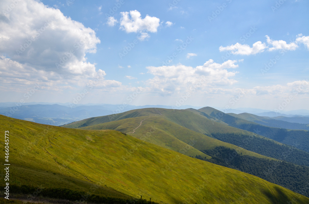 Fototapeta premium Grassy hills with beech forests under the gorgeous cloudscape. Beautiful landscape of mountain ridge of Carpathians, Ukraine 
