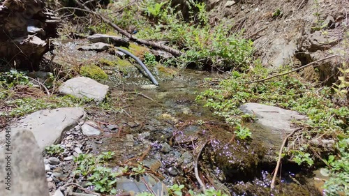 Nature river waterfall forest, Water flows over the stones photo