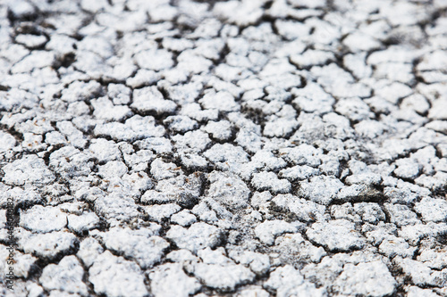 White dry earth with a web of cracks. Dry salty seabed. Salty land.