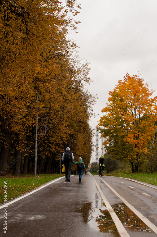 a cyclist, a man and a child move in an autumn park along a marked road a cyclist, a man and a child move in an autumn park along a marked road