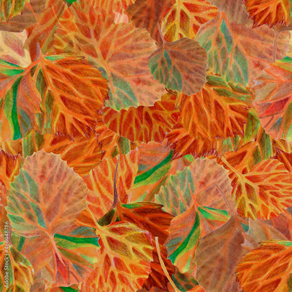 aspen leaves autumn pattern watercolor pencil