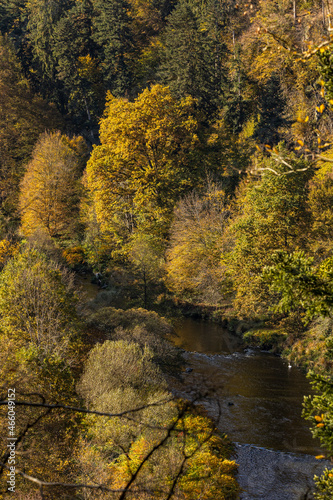 23.10.2021, GER, Bayern, Passau: Naturschutzgebiet "Halser Ilzschleifen" im Herbst.