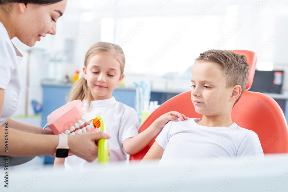 Fototapeta premium pediatric dentist shows young children how to brush their teeth properly. Children - a boy and a girl in doctor's office. concept is health of children's teeth.