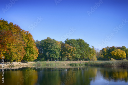 Beautiful lake in the city park in the autumn season