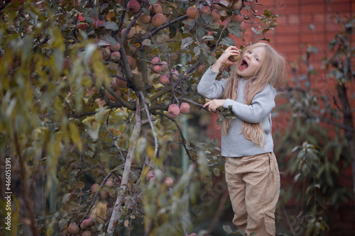 brother and sister boy and girl picking apples in the garden