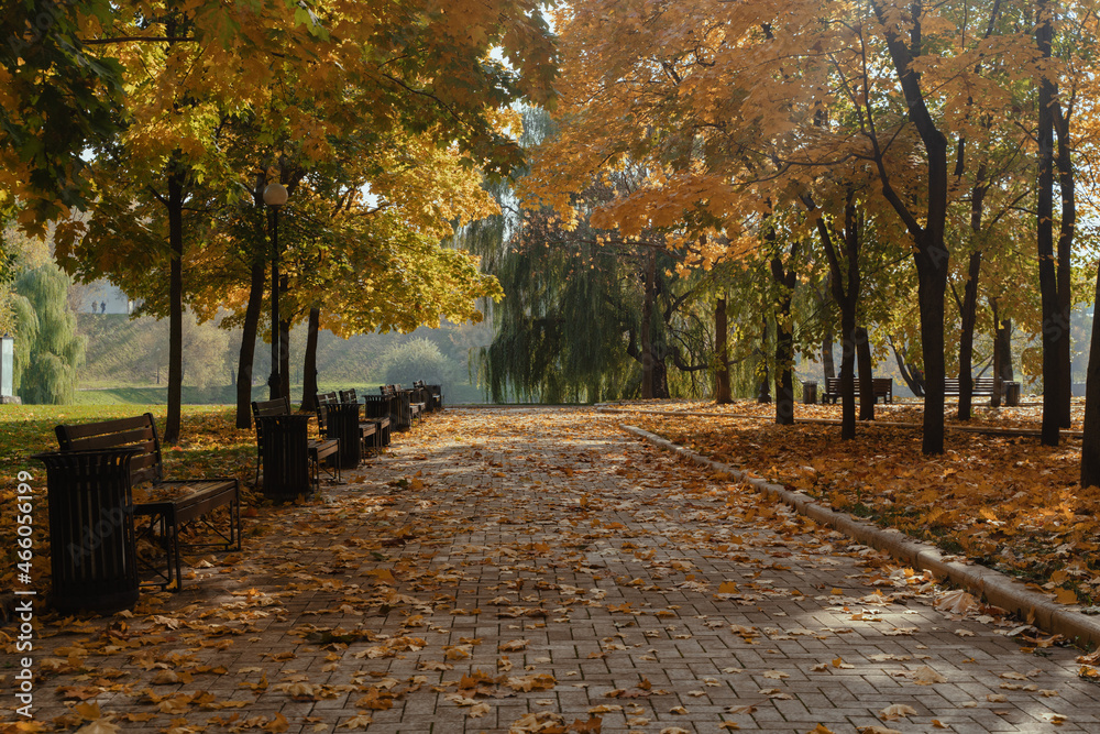 Fototapeta premium Autumn landscape view of the Golden alley with colorful trees in the Park Novodevichy ponds in Moscow. Russian nature in autumn. High quality photo
