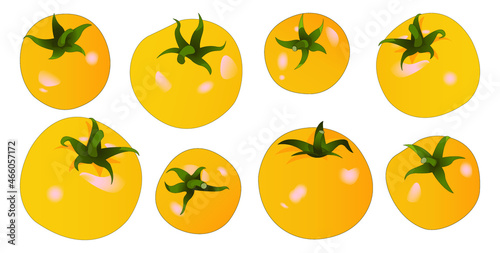 Ripe yellow tomatoes of various sizes. Realistic design. Seasonal vegetables. 