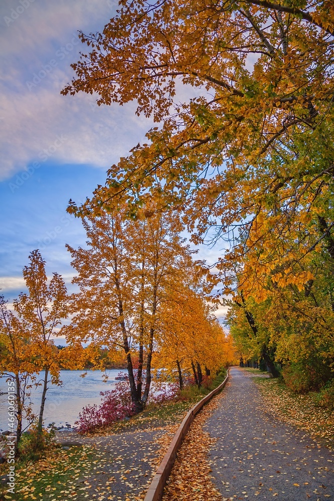 Riverside Trail In An Autumn Park