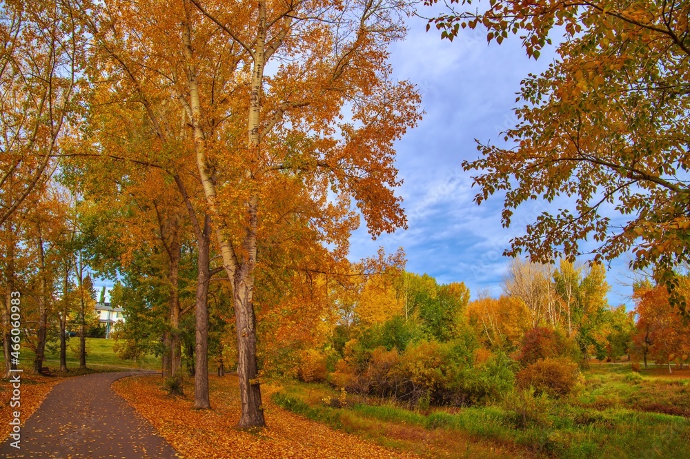 Walkway Through A Treelined Autumn Park Walkway Through A Treelined Autumn Park