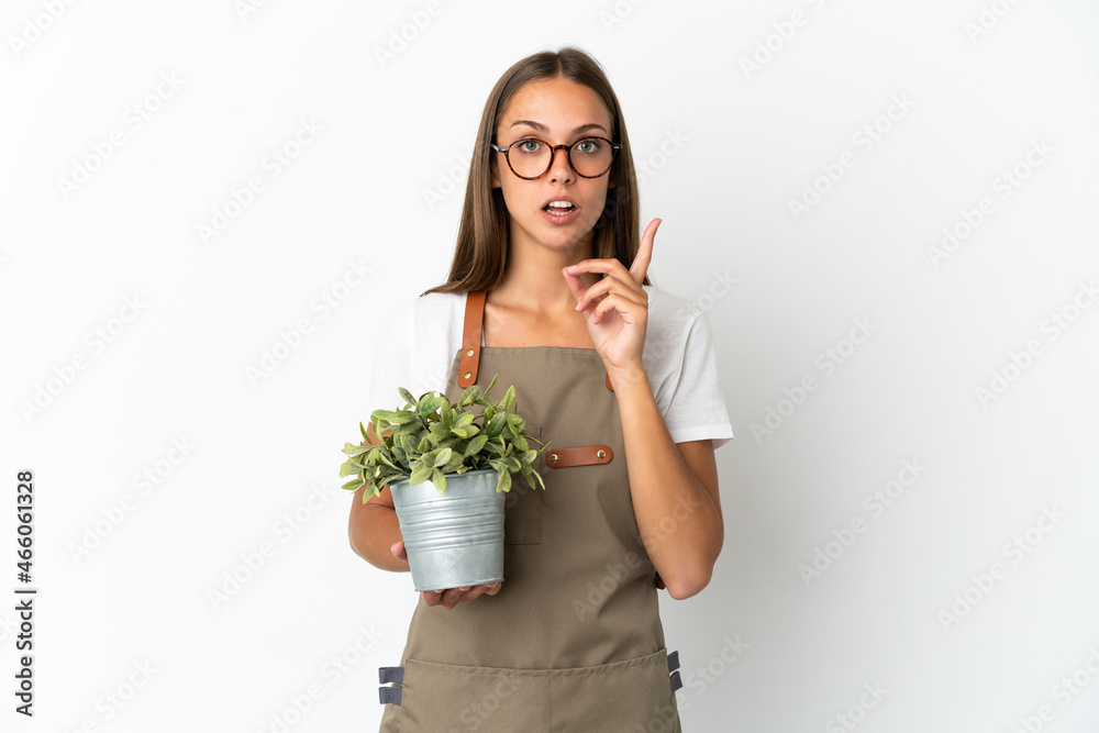 Gardener girl holding a plant over isolated white background intending to realizes the solution while lifting a finger up Gardener girl holding a plant over isolated white background intending to realizes the solution while lifting a finger up