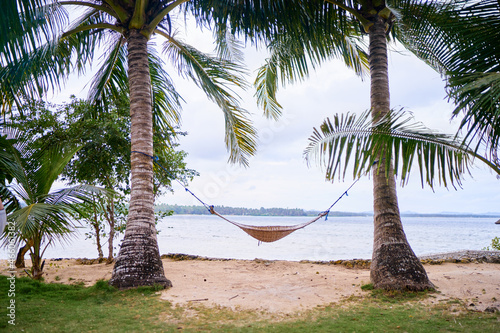 Tranquil vacation. Tropical beach resort with coconut palms and hammock.