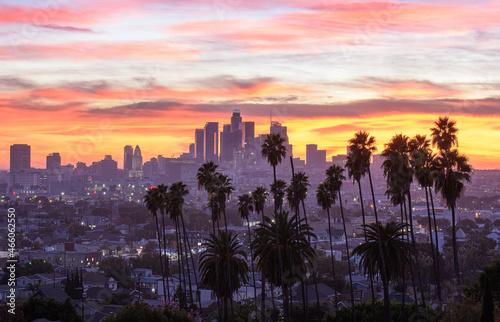Beautiful sunset through the palm trees, Los Angeles, California.