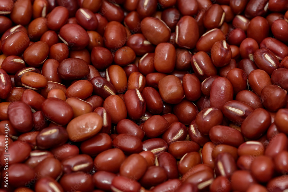 Azuki beans are also called red mung beans Azuki beans are also called red mung beans