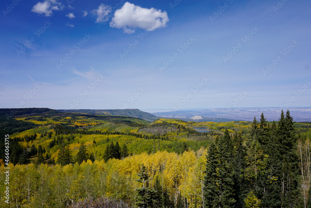 View of the fall colors in Grand Mesa National Forest in Colorado