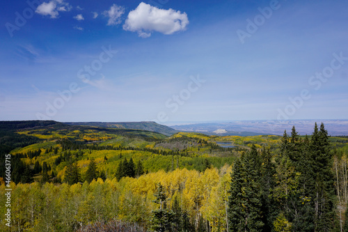 View of the fall colors in Grand Mesa National Forest in Colorado