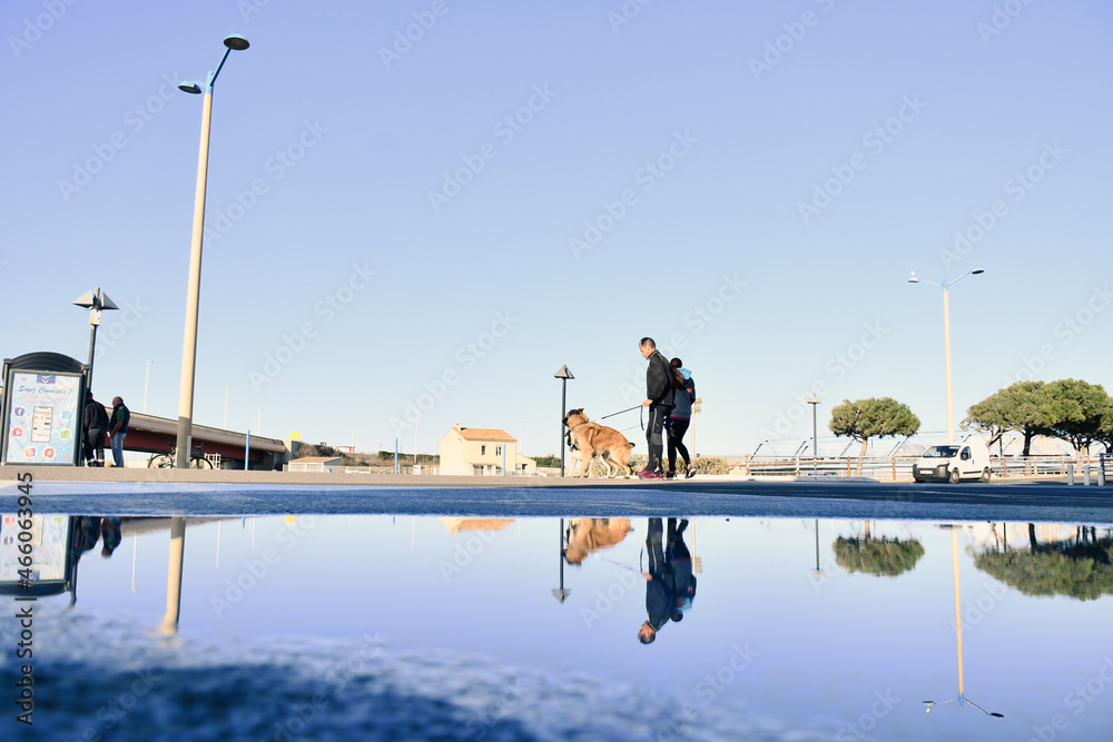 Naklejka premium reflet