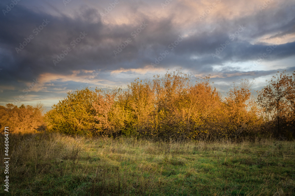 autumn nature of Sursky krai