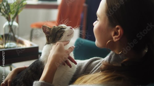 Woman petting cat on sofa in living room. Female owner stroking grey kitten close-up. Furry pedigreed pet relaxing and purring. Little best friends. Happy domestic animals at home.