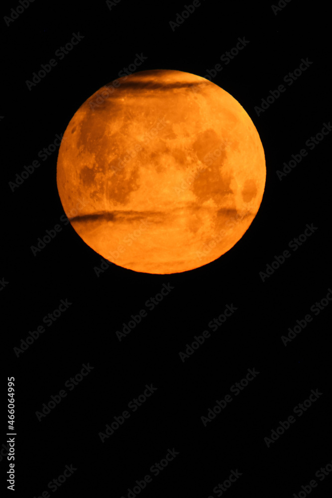 Naklejka premium Flower blood full moon in May shortly before the lunar eclipse with red color and passing clouds