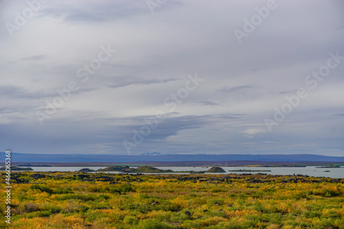 Myvatn  Iceland  A shallow lake situated in an area of active volcanism in the north of Iceland near the Krafla volcano.
