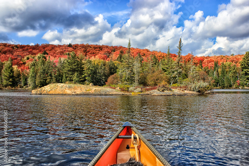 Canvas Print Colorful fall leaves in Algonquin provincial park