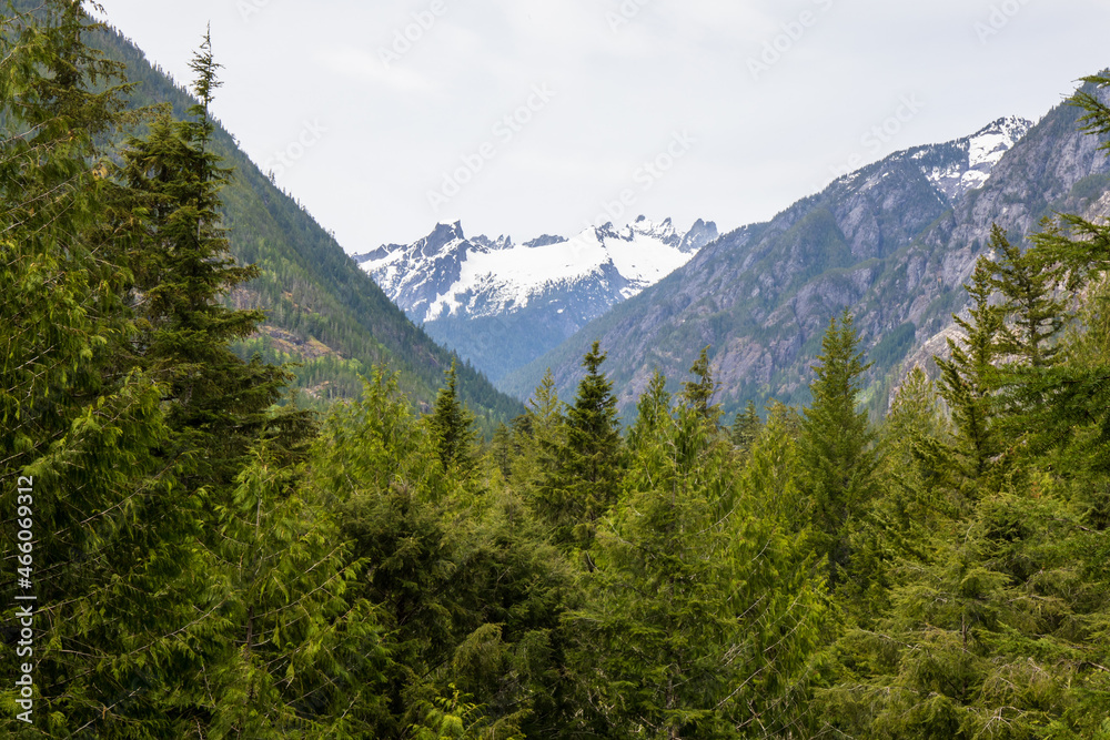The Picket Range at North Cascades National Park in Washington State during Spring.