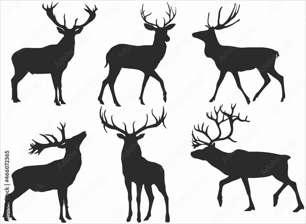 Vector set of silhouettes of deer. Animals with horns. Reindeer and forest deer
Vector set of silhouettes of deer. Animals with horns. Reindeer and forest deer