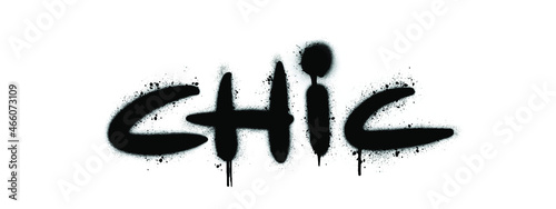 Chic lettering with leaks. Vector.