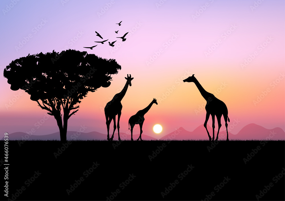 graphics landscape view giraffe at the forest with mountain background and twilight silhouette vector illustration graphics landscape view giraffe at the forest with mountain background and twilight silhouette vector illustration
