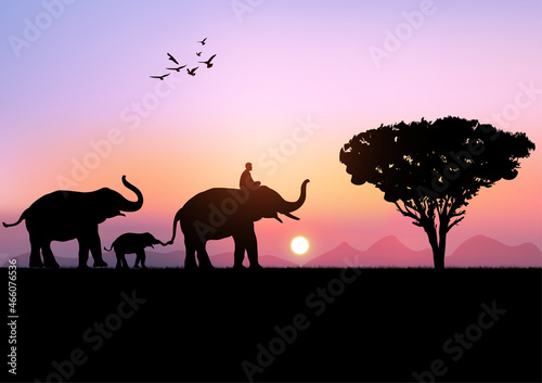 Tableau sur toile silhouette image Black elephant with Elephant mahout walking at the with mountai