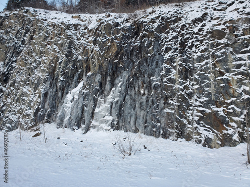snow covered trees