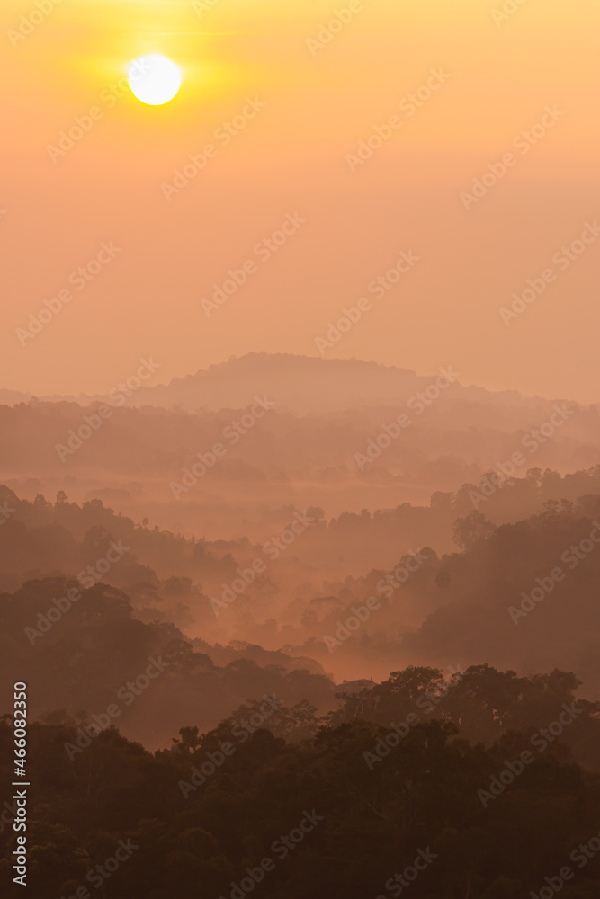 Vertical orange sky of sunrise or sunset with tree on mountain
