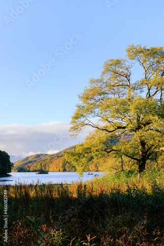 秋の檜原湖