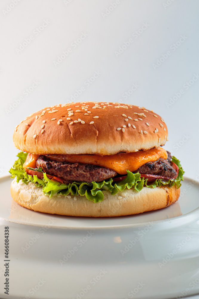 burger, hamburger on a white background burger, hamburger on a white background
