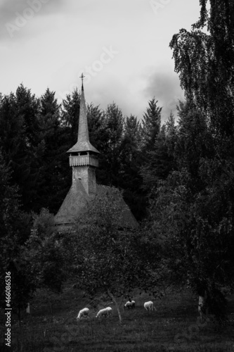 photo of an old church in the village museum in maramures, romania, with sheep and hay. © Gbor
