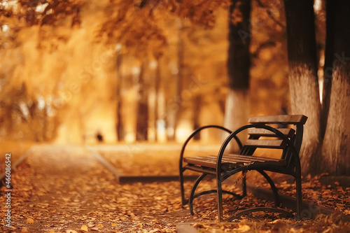 bench in autumn park  abstract landscape leisure walk  calm life concept