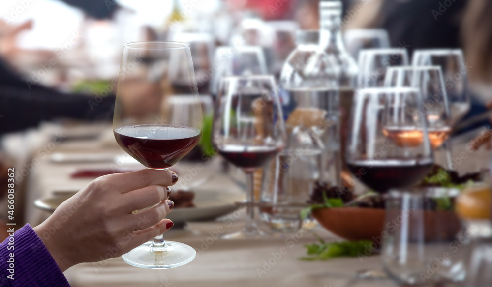 hand holding wine glass in vineyard