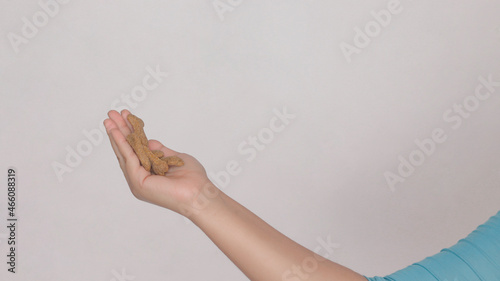 Hand with bone-shaped croquettes, for dogs, on white background. photo